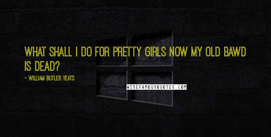 William Butler Yeats Quotes: What shall I do for pretty girls Now my old bawd is dead?