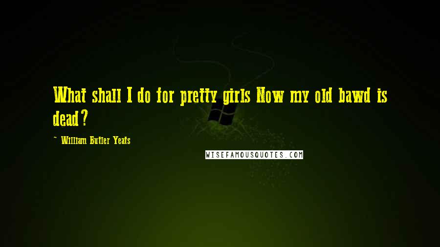 William Butler Yeats Quotes: What shall I do for pretty girls Now my old bawd is dead?