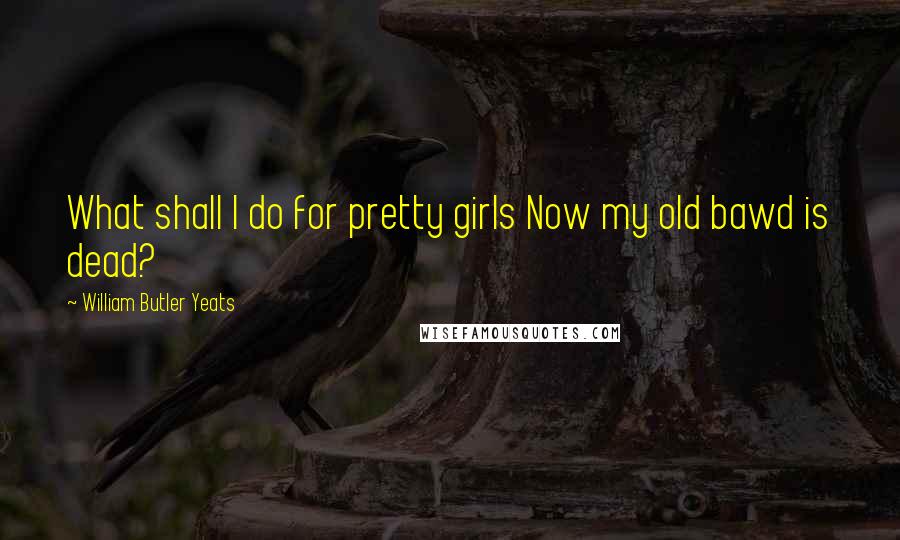 William Butler Yeats Quotes: What shall I do for pretty girls Now my old bawd is dead?