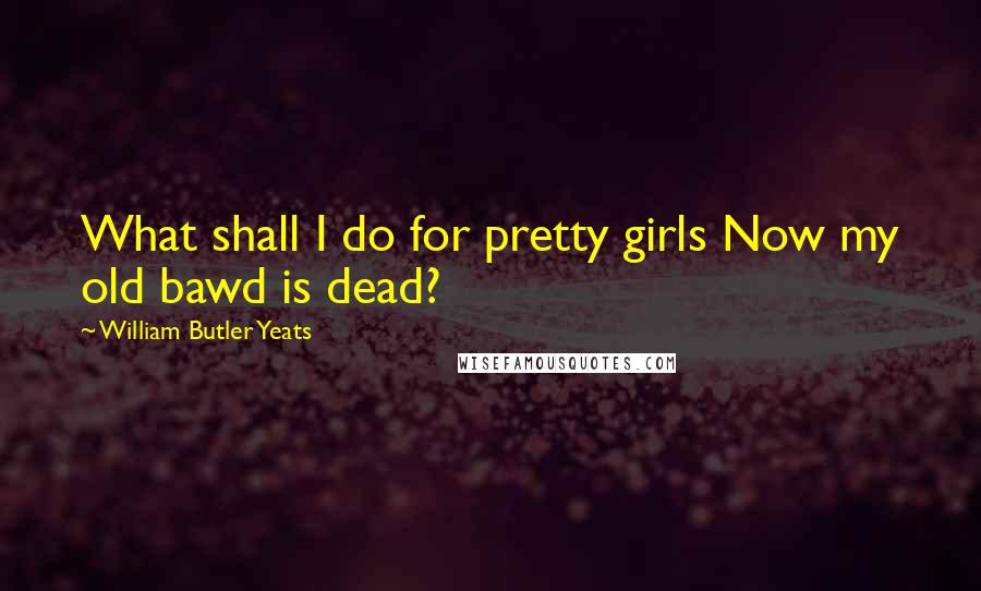 William Butler Yeats Quotes: What shall I do for pretty girls Now my old bawd is dead?