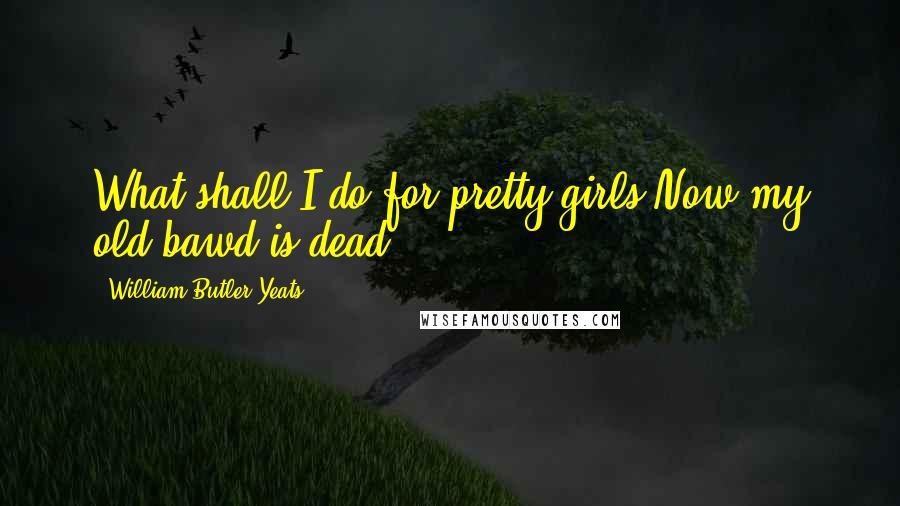 William Butler Yeats Quotes: What shall I do for pretty girls Now my old bawd is dead?