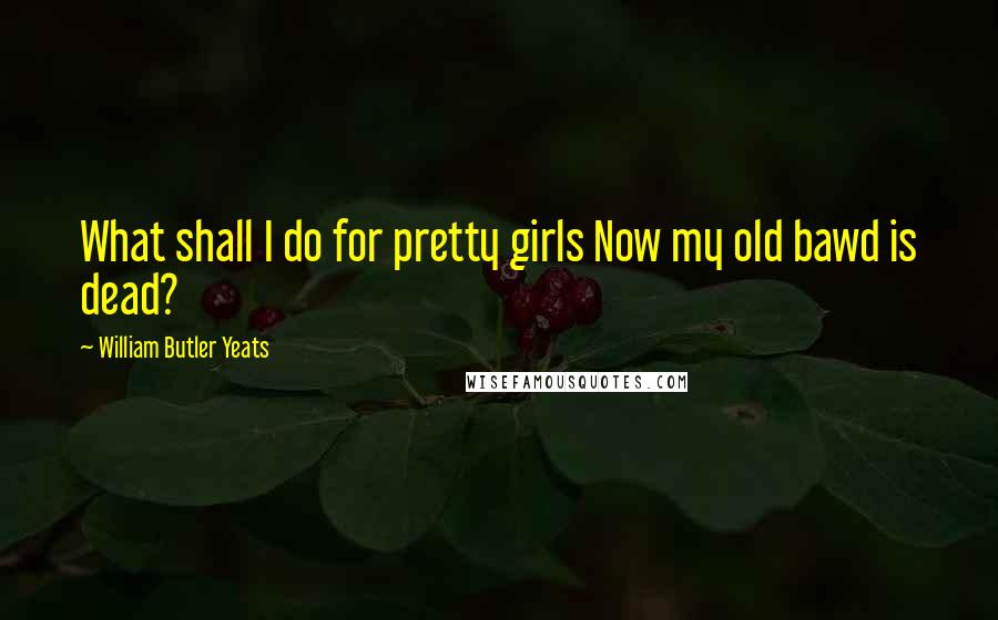 William Butler Yeats Quotes: What shall I do for pretty girls Now my old bawd is dead?