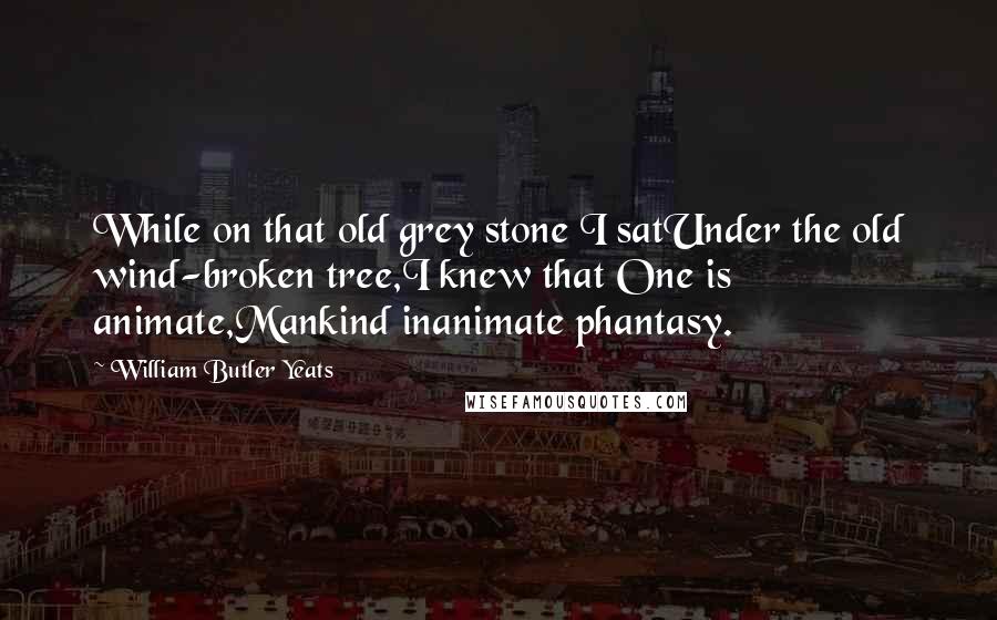 William Butler Yeats Quotes: While on that old grey stone I satUnder the old wind-broken tree,I knew that One is animate,Mankind inanimate phantasy.