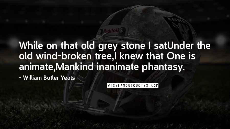 William Butler Yeats Quotes: While on that old grey stone I satUnder the old wind-broken tree,I knew that One is animate,Mankind inanimate phantasy.