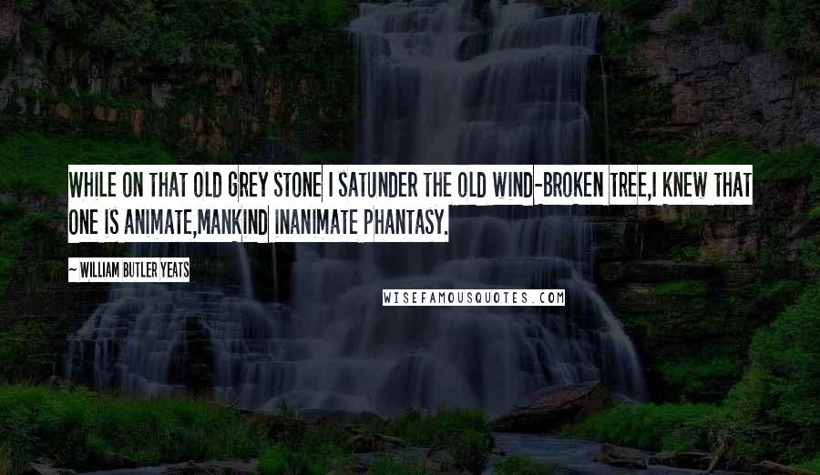 William Butler Yeats Quotes: While on that old grey stone I satUnder the old wind-broken tree,I knew that One is animate,Mankind inanimate phantasy.