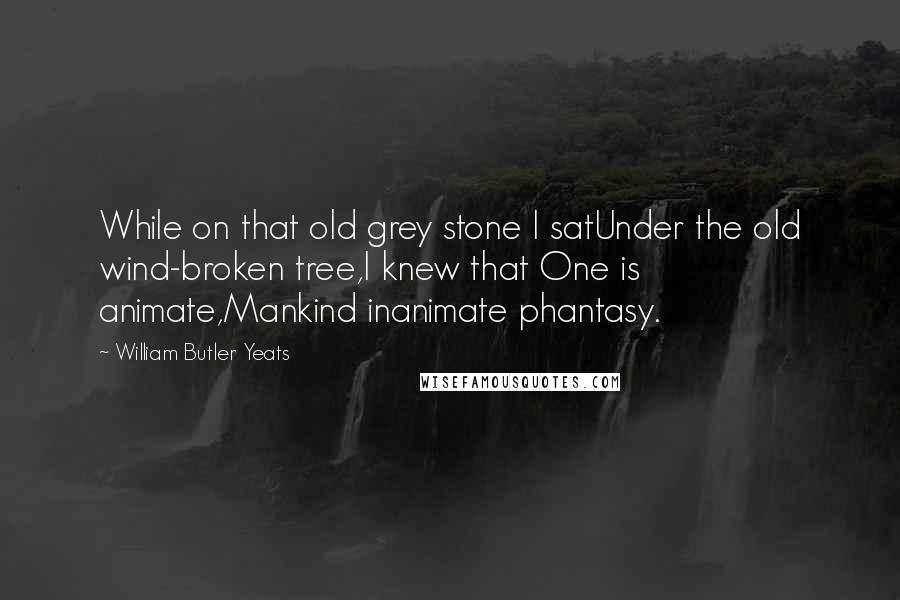 William Butler Yeats Quotes: While on that old grey stone I satUnder the old wind-broken tree,I knew that One is animate,Mankind inanimate phantasy.