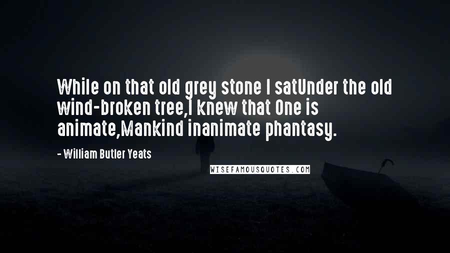 William Butler Yeats Quotes: While on that old grey stone I satUnder the old wind-broken tree,I knew that One is animate,Mankind inanimate phantasy.