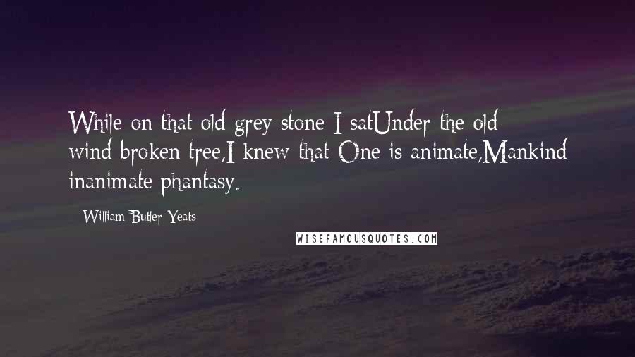 William Butler Yeats Quotes: While on that old grey stone I satUnder the old wind-broken tree,I knew that One is animate,Mankind inanimate phantasy.