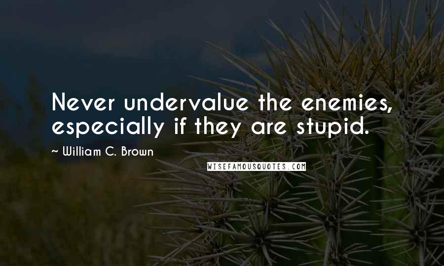 William C. Brown Quotes: Never undervalue the enemies, especially if they are stupid.
