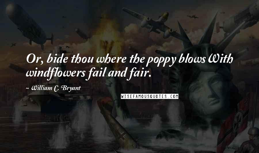 William C. Bryant Quotes: Or, bide thou where the poppy blowsWith windflowers fail and fair.