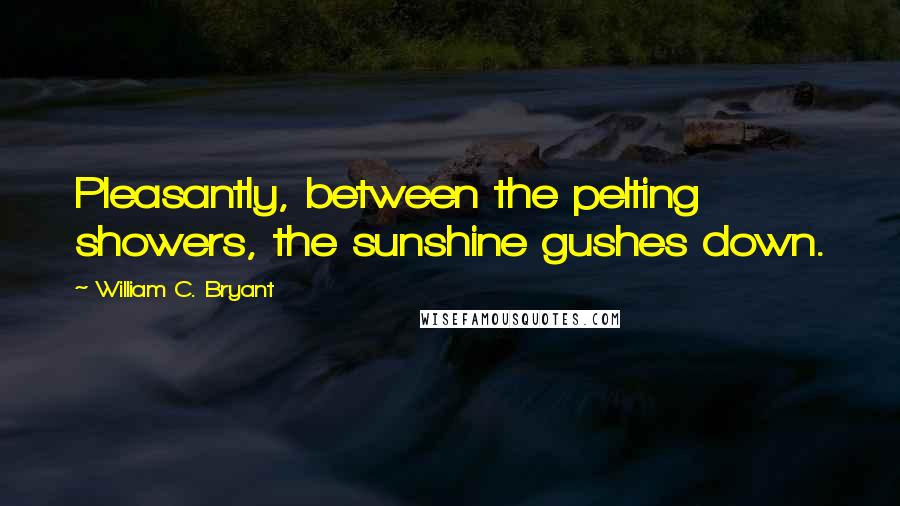 William C. Bryant Quotes: Pleasantly, between the pelting showers, the sunshine gushes down.