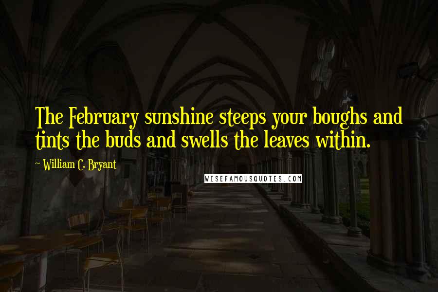 William C. Bryant Quotes: The February sunshine steeps your boughs and tints the buds and swells the leaves within.