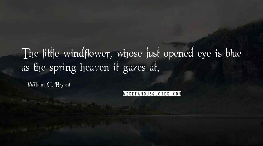 William C. Bryant Quotes: The little windflower, whose just opened eye is blue as the spring heaven it gazes at.