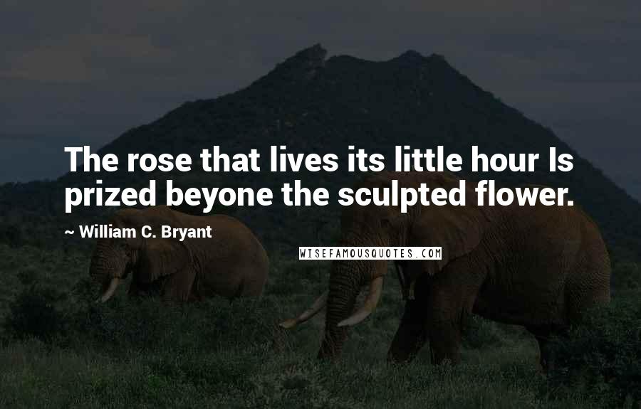 William C. Bryant Quotes: The rose that lives its little hour Is prized beyone the sculpted flower.