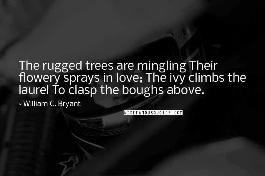 William C. Bryant Quotes: The rugged trees are mingling Their flowery sprays in love; The ivy climbs the laurel To clasp the boughs above.