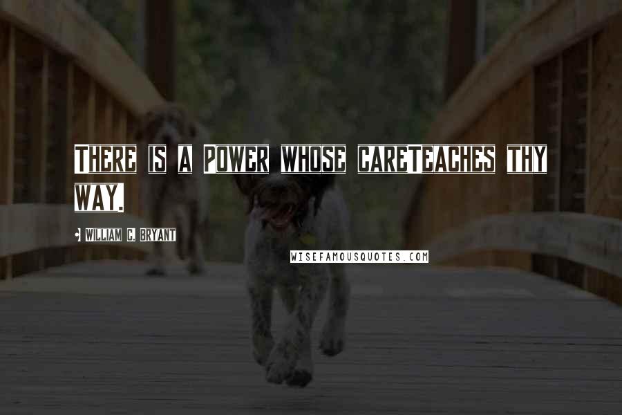 William C. Bryant Quotes: There is a Power whose careTeaches thy way.