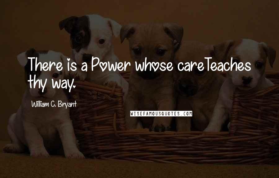 William C. Bryant Quotes: There is a Power whose careTeaches thy way.