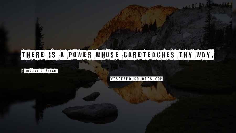 William C. Bryant Quotes: There is a Power whose careTeaches thy way.