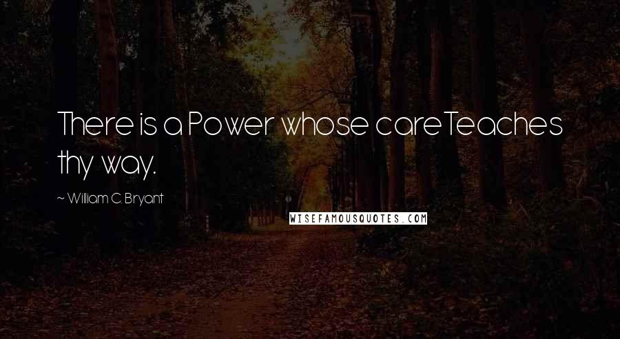 William C. Bryant Quotes: There is a Power whose careTeaches thy way.