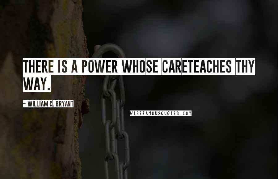 William C. Bryant Quotes: There is a Power whose careTeaches thy way.