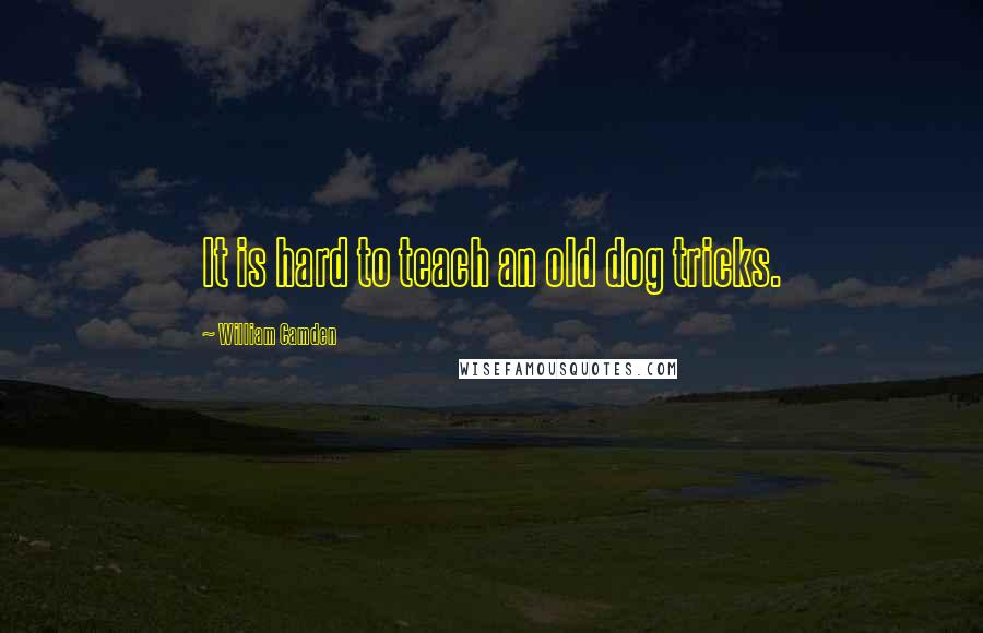 William Camden Quotes: It is hard to teach an old dog tricks.