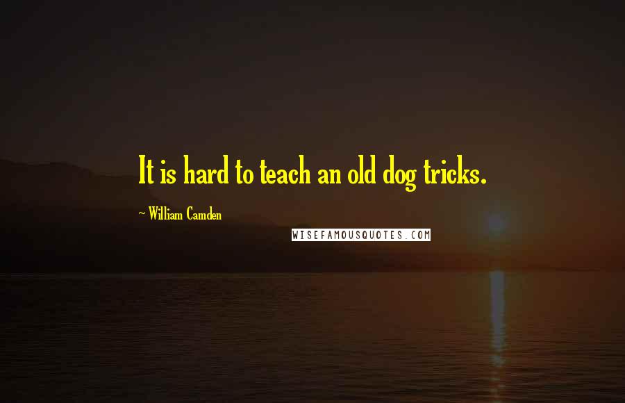 William Camden Quotes: It is hard to teach an old dog tricks.