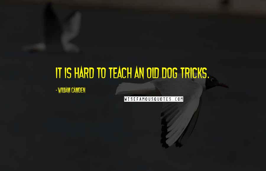 William Camden Quotes: It is hard to teach an old dog tricks.