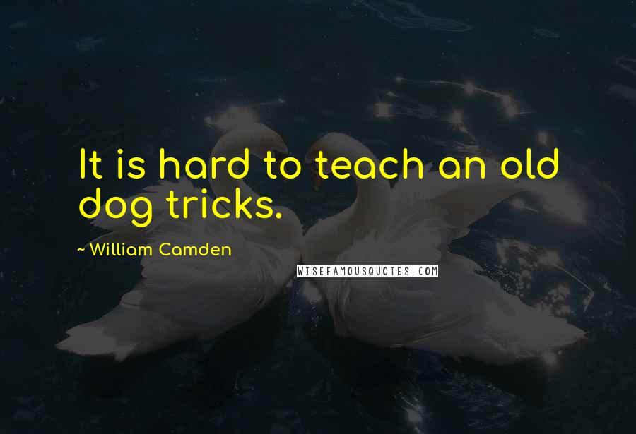 William Camden Quotes: It is hard to teach an old dog tricks.