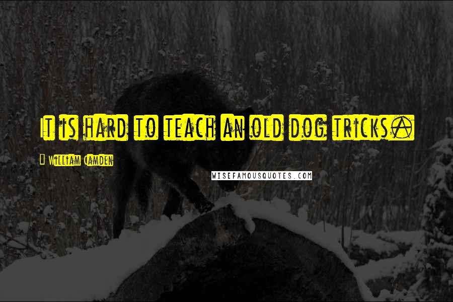 William Camden Quotes: It is hard to teach an old dog tricks.