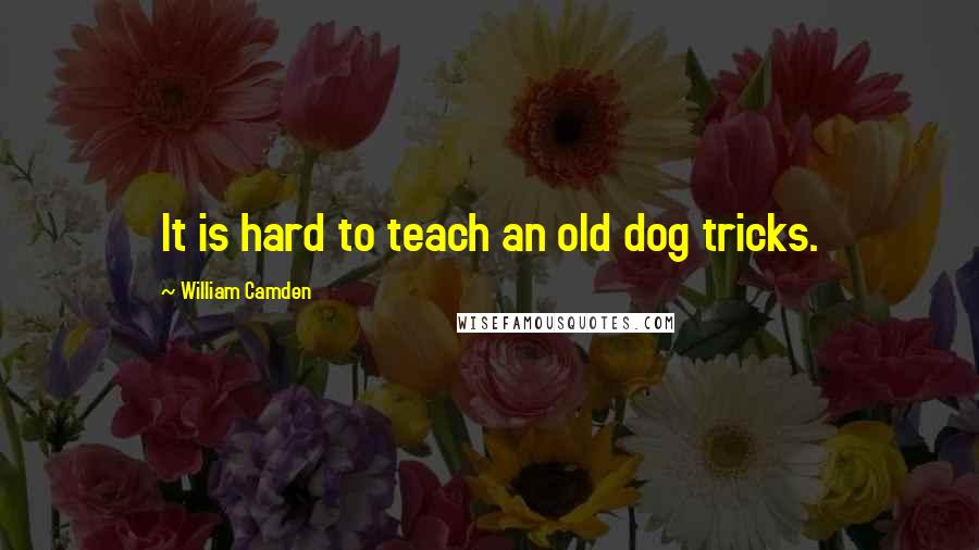 William Camden Quotes: It is hard to teach an old dog tricks.