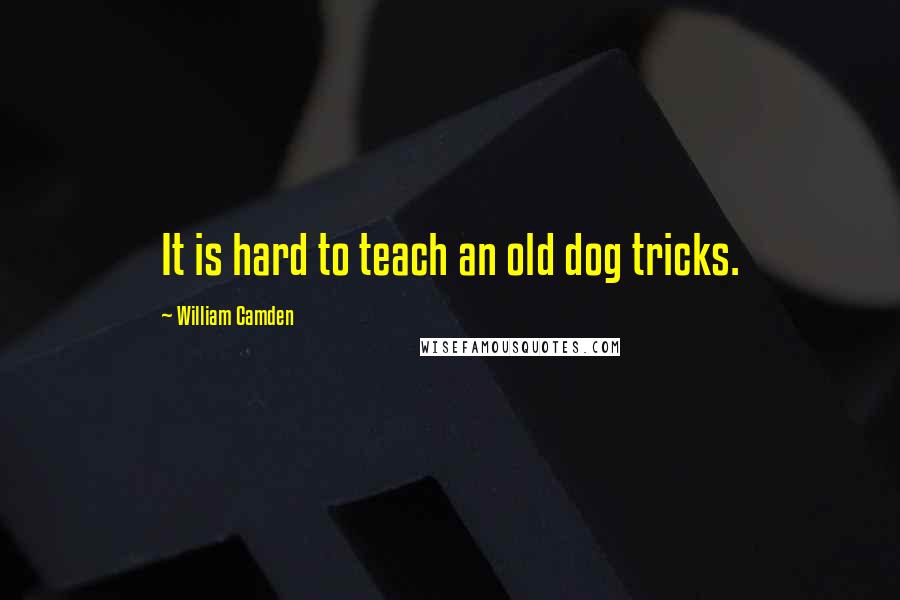 William Camden Quotes: It is hard to teach an old dog tricks.