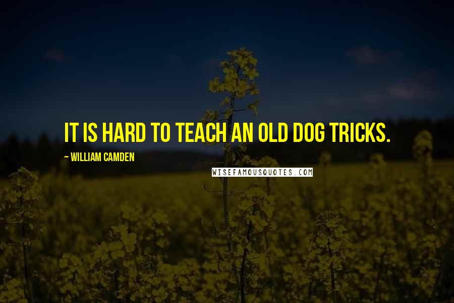 William Camden Quotes: It is hard to teach an old dog tricks.
