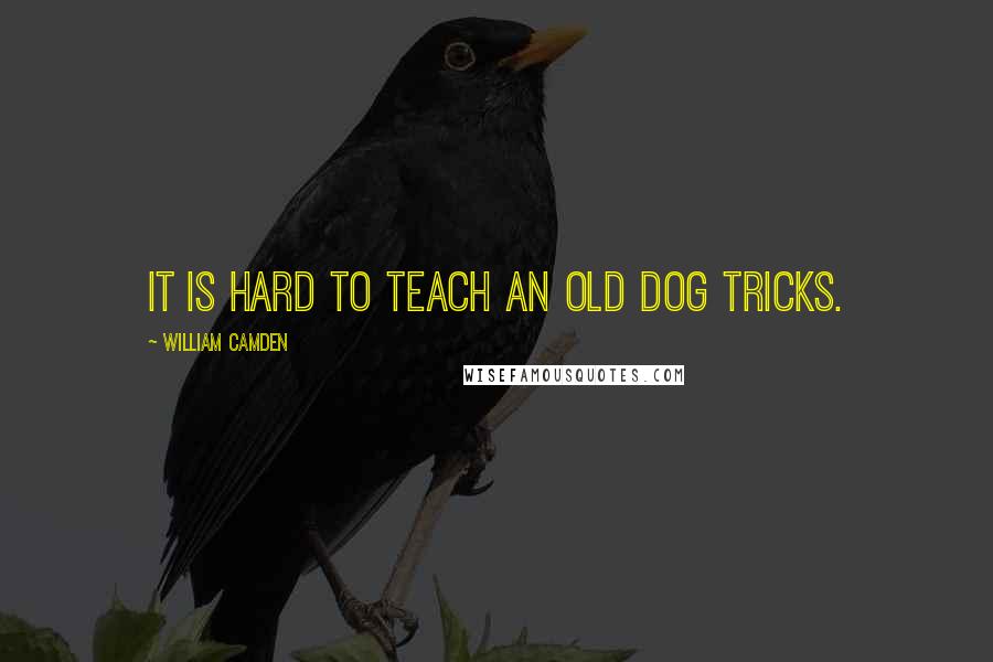 William Camden Quotes: It is hard to teach an old dog tricks.