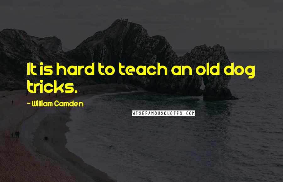 William Camden Quotes: It is hard to teach an old dog tricks.