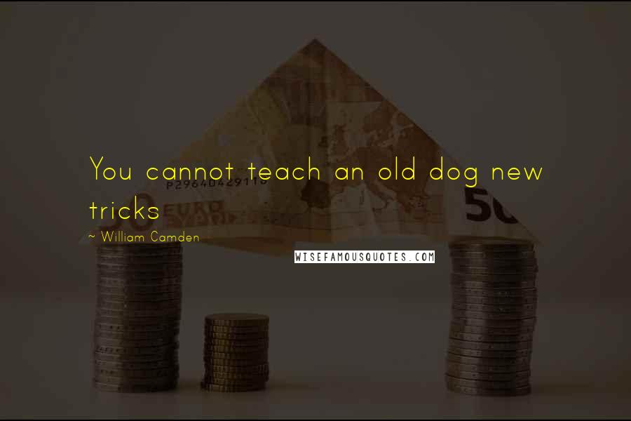 William Camden Quotes: You cannot teach an old dog new tricks