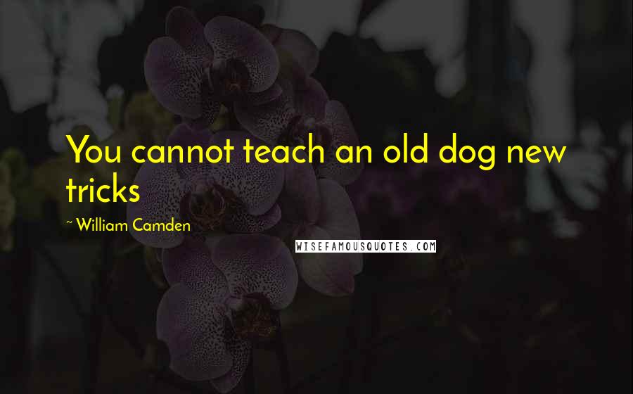 William Camden Quotes: You cannot teach an old dog new tricks