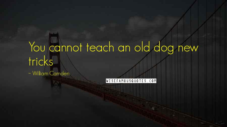 William Camden Quotes: You cannot teach an old dog new tricks