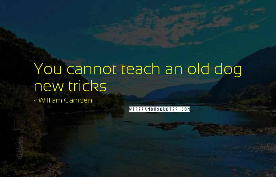 William Camden Quotes: You cannot teach an old dog new tricks
