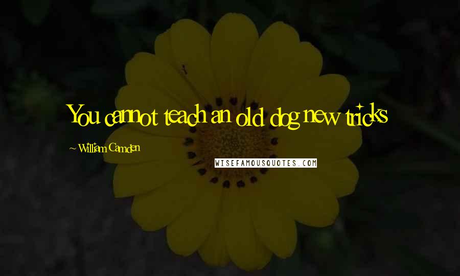 William Camden Quotes: You cannot teach an old dog new tricks
