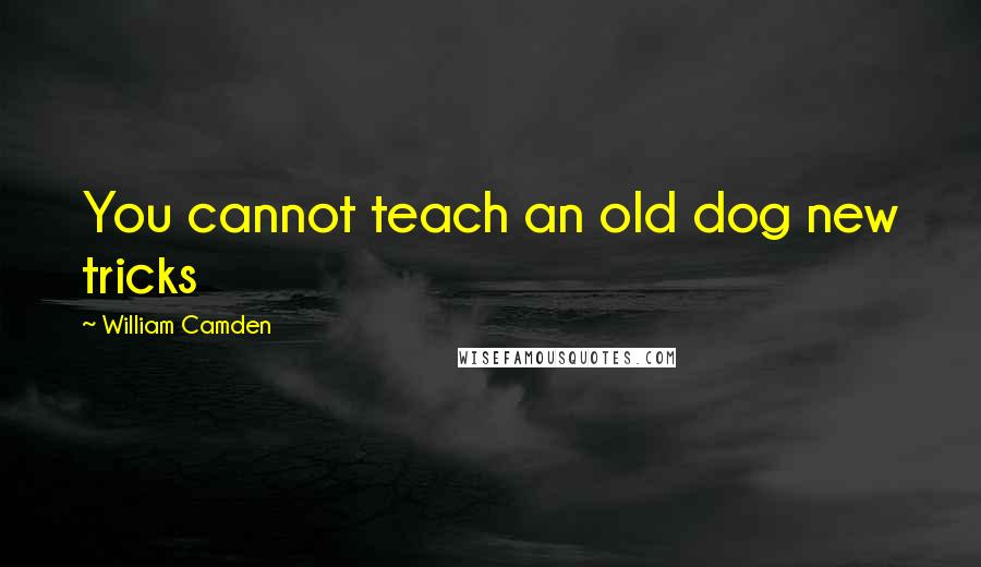 William Camden Quotes: You cannot teach an old dog new tricks