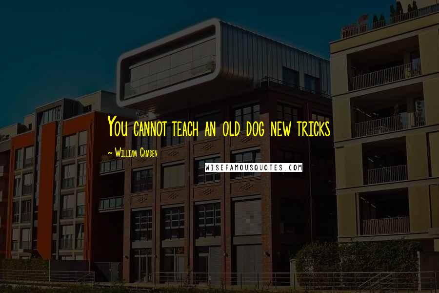 William Camden Quotes: You cannot teach an old dog new tricks