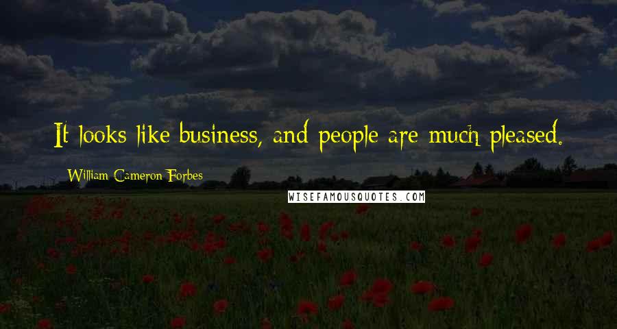 William Cameron Forbes Quotes: It looks like business, and people are much pleased.