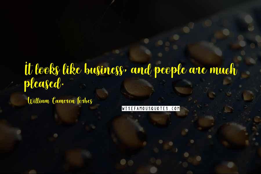 William Cameron Forbes Quotes: It looks like business, and people are much pleased.