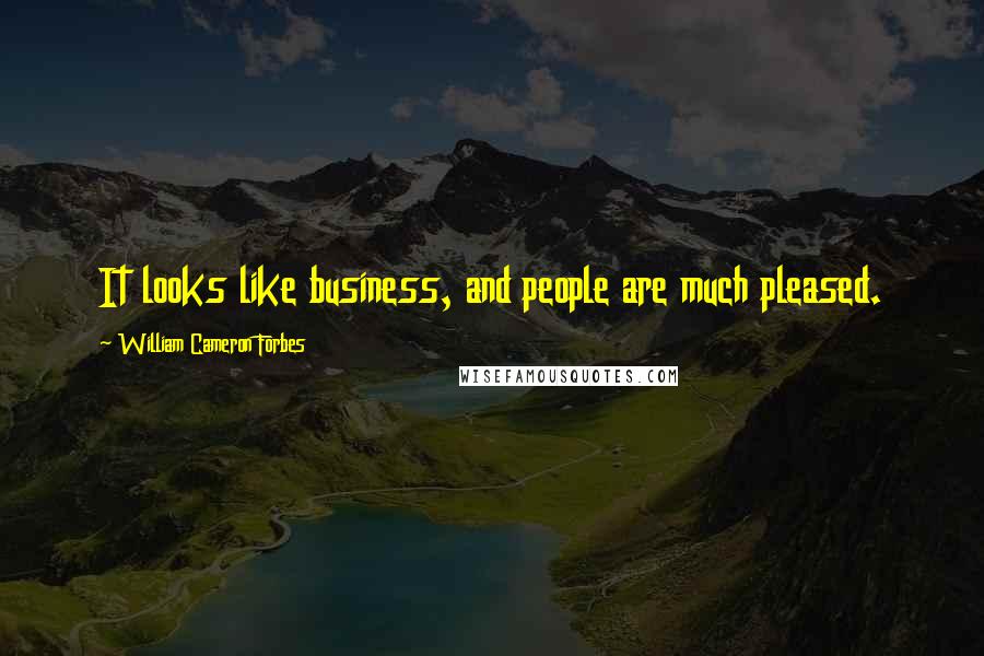 William Cameron Forbes Quotes: It looks like business, and people are much pleased.