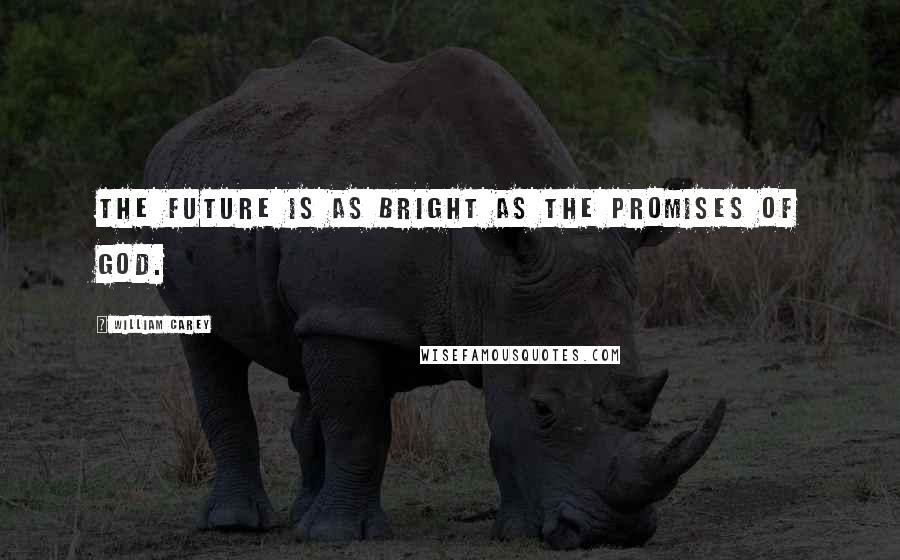 William Carey Quotes: The future is as bright as the promises of God.