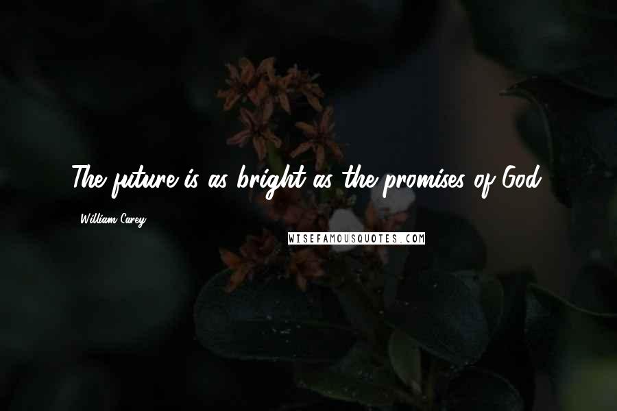 William Carey Quotes: The future is as bright as the promises of God.