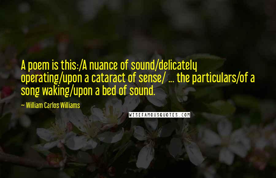 William Carlos Williams Quotes: A poem is this:/A nuance of sound/delicately operating/upon a cataract of sense/ ... the particulars/of a song waking/upon a bed of sound.