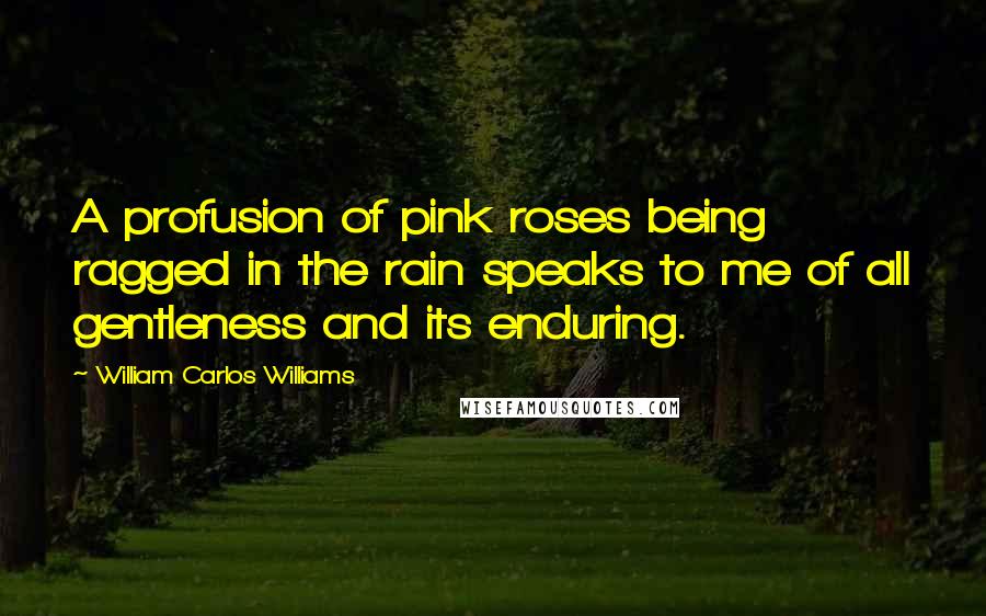 William Carlos Williams Quotes: A profusion of pink roses being ragged in the rain speaks to me of all gentleness and its enduring.