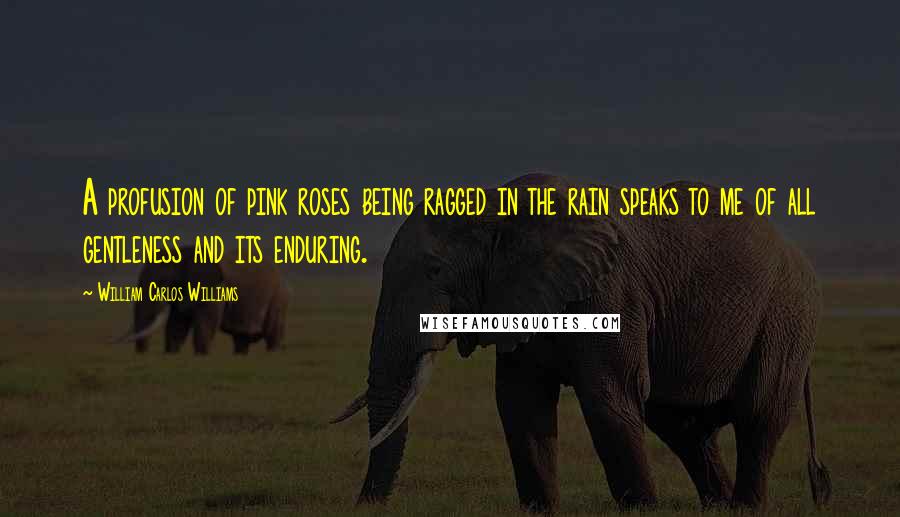 William Carlos Williams Quotes: A profusion of pink roses being ragged in the rain speaks to me of all gentleness and its enduring.