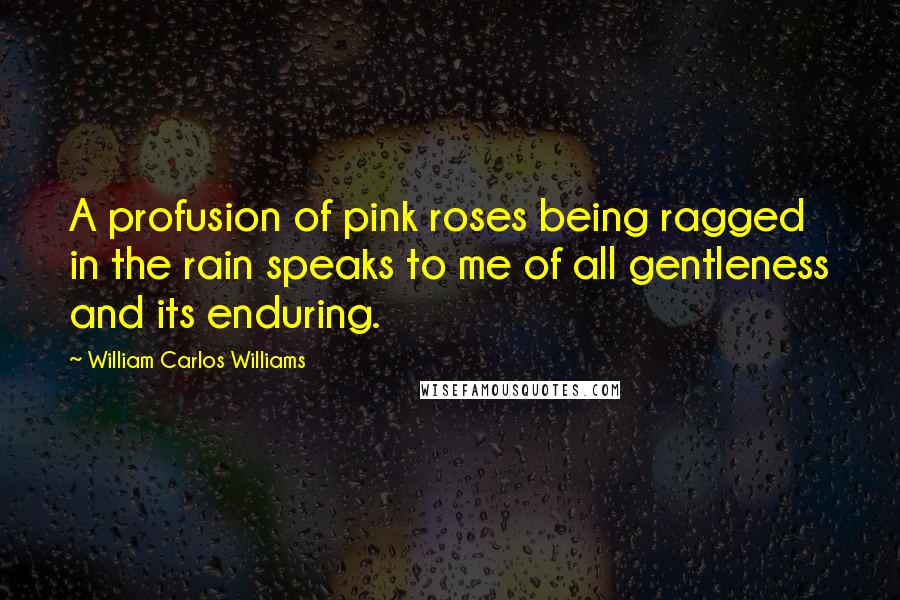 William Carlos Williams Quotes: A profusion of pink roses being ragged in the rain speaks to me of all gentleness and its enduring.
